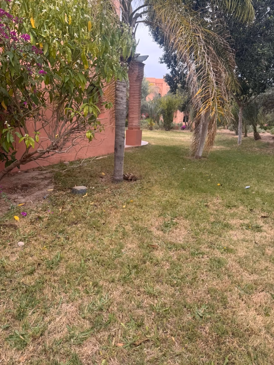 Appartement rez de jardin vue piscine