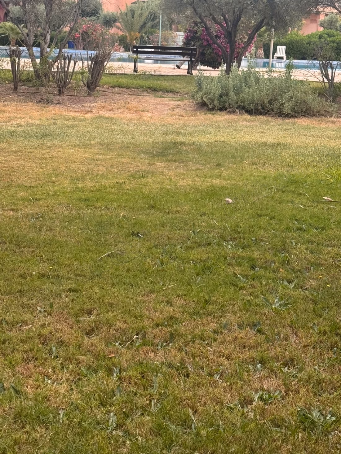 Appartement rez de jardin vue piscine