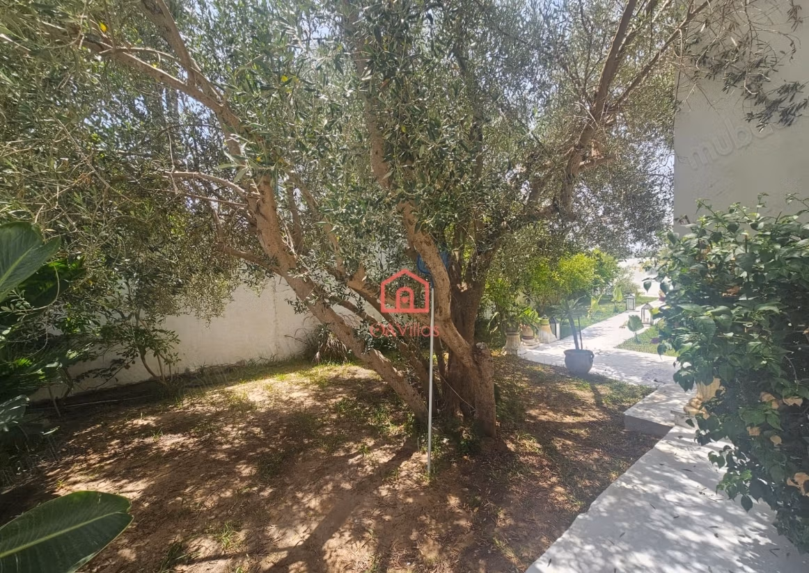 Location: Maison avec jardin à Hammamet
