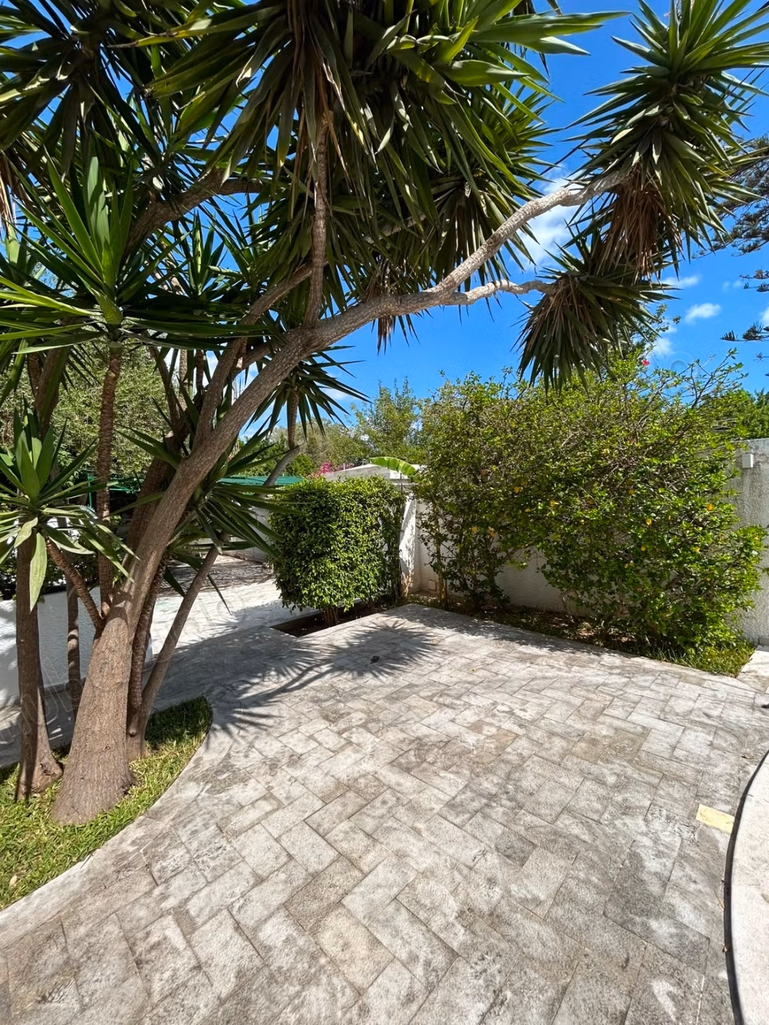 Villa eccezionale in affitto a Cartagine