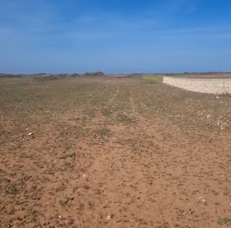 4 hectares à vendre face à la mer