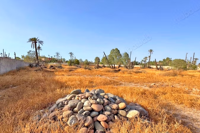 Titled and fenced land for sale of 13870 m² Palmeraie