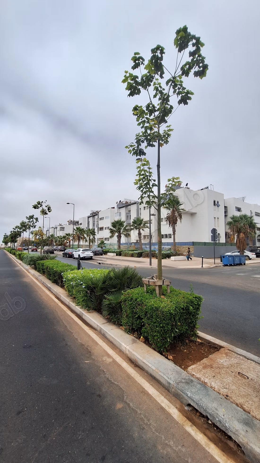 Apartments for rent in Hay Houda. 
Area 110 m². 
Beautiful terrace and garden