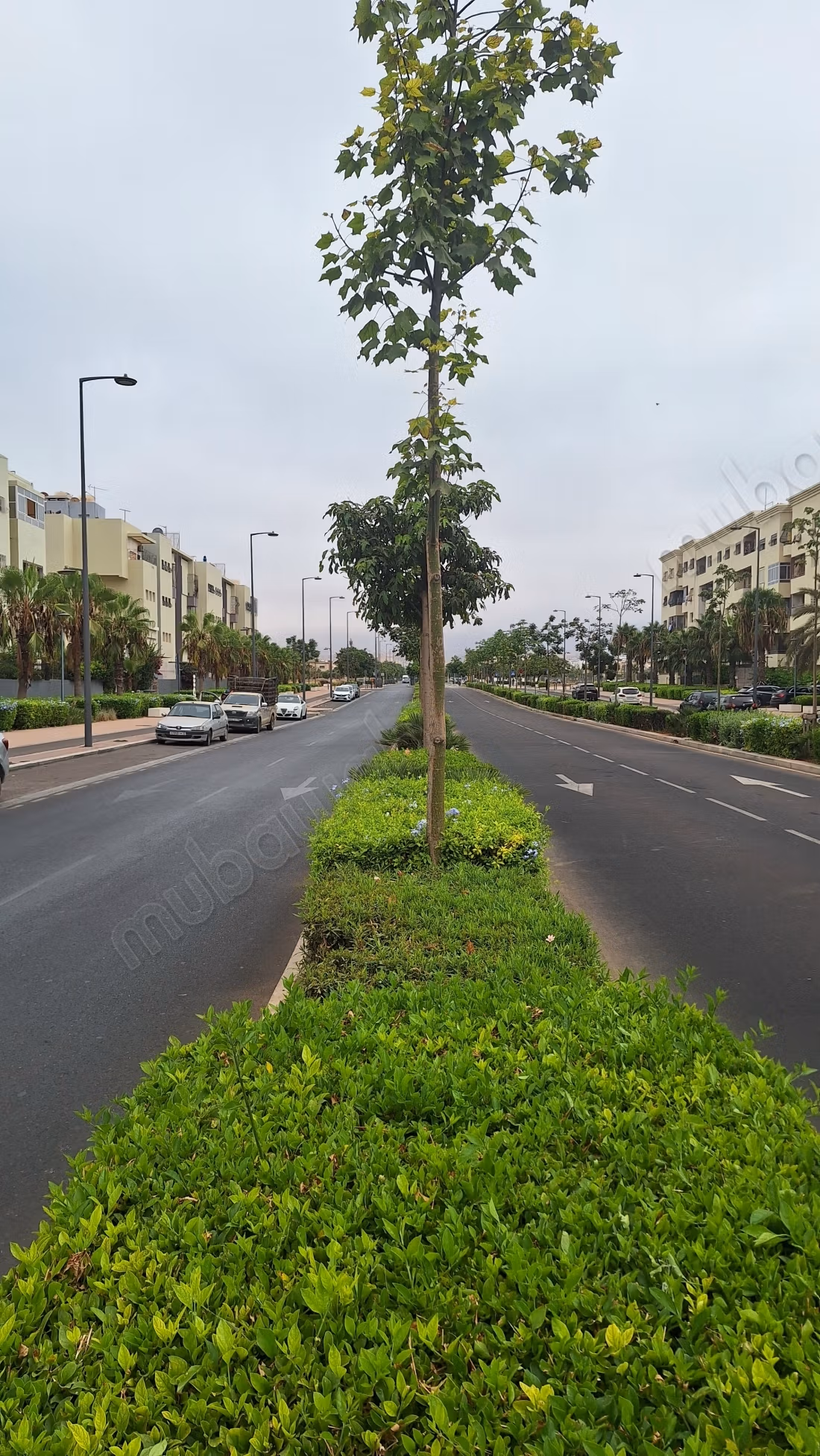 Apartments for rent in Hay Houda. 
Area 110 m². 
Beautiful terrace and garden