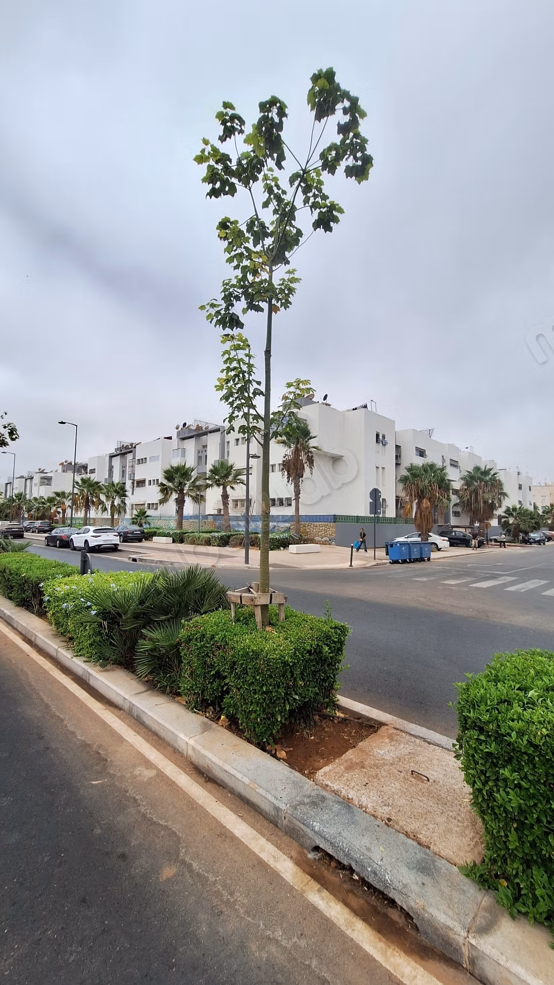 Apartments for rent in Hay Houda. 
Area 110 m². 
Beautiful terrace and garden