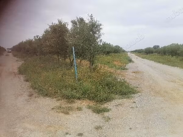 Un terrain de 350m2 au hammamet