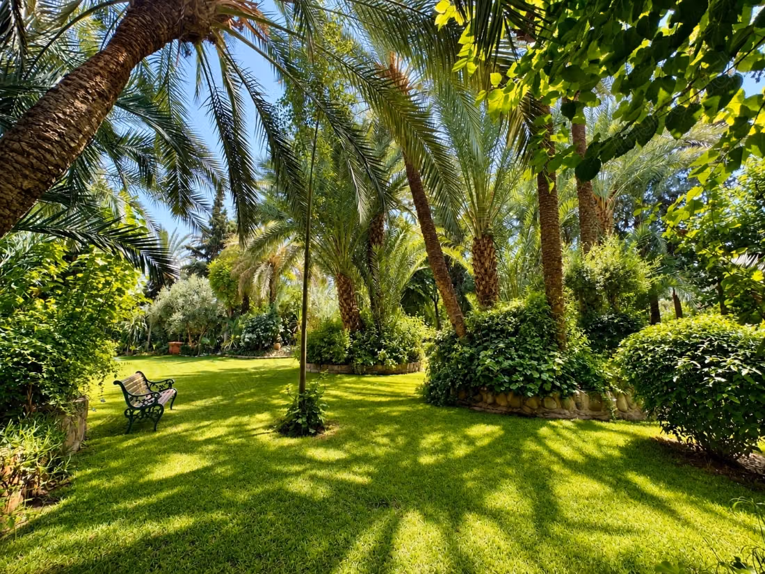 Jardins de la Palmeraie: Villa 3160 m2 terrain