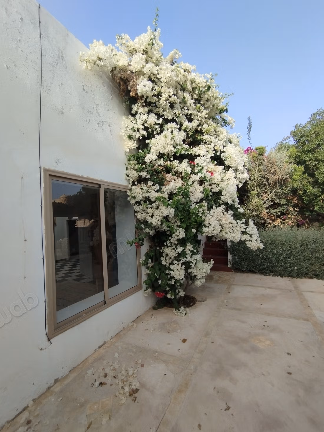 Luxury house for rent in Ghazoua. 4 rooms. Furnished
