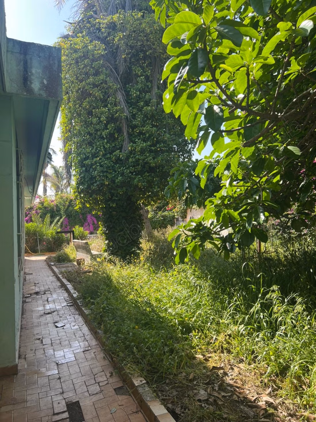 Villa à Usage Professionnel Premium à Anfa