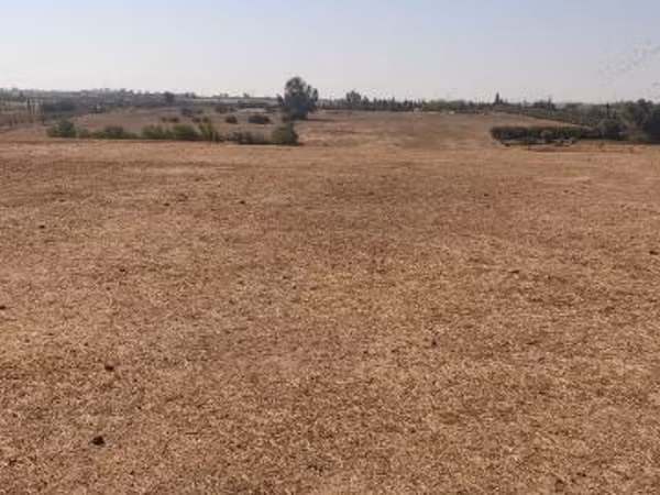 Terrain à vendre à Safi 
1. Surface de 3000 m²