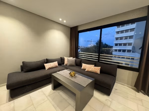 Furnished studio for rent in PALMIER