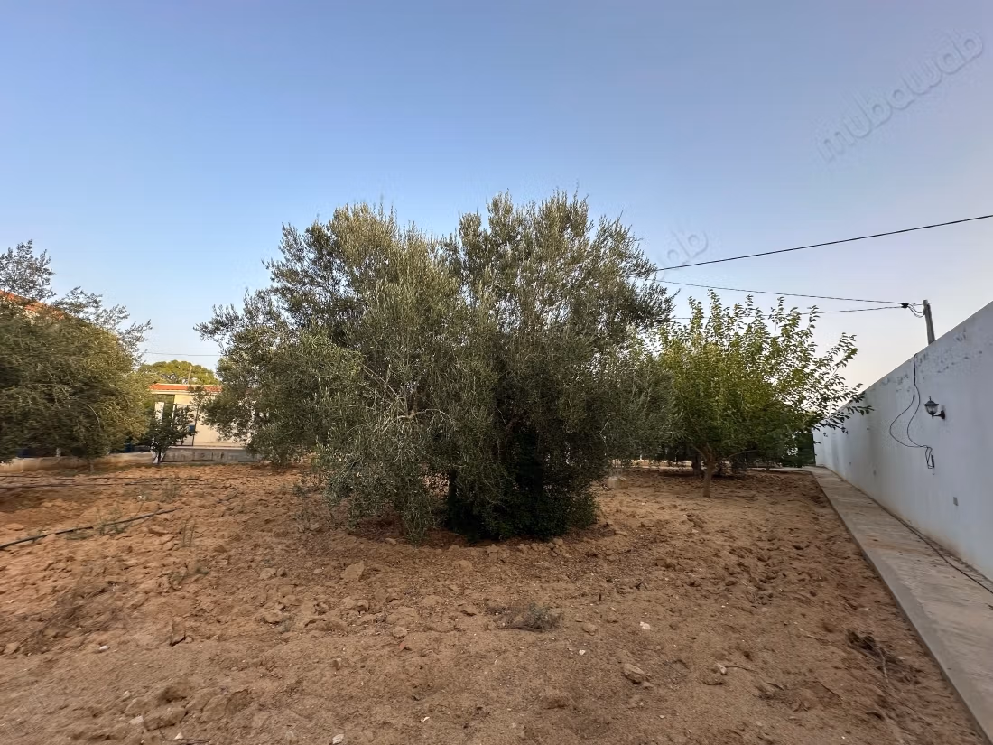 Magnificent villa for sale. Area 380 m². Garage and terrace