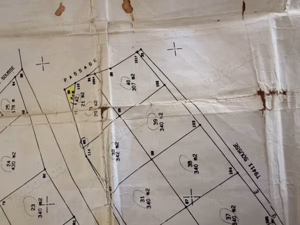 Terreno Vivo per Costruzione