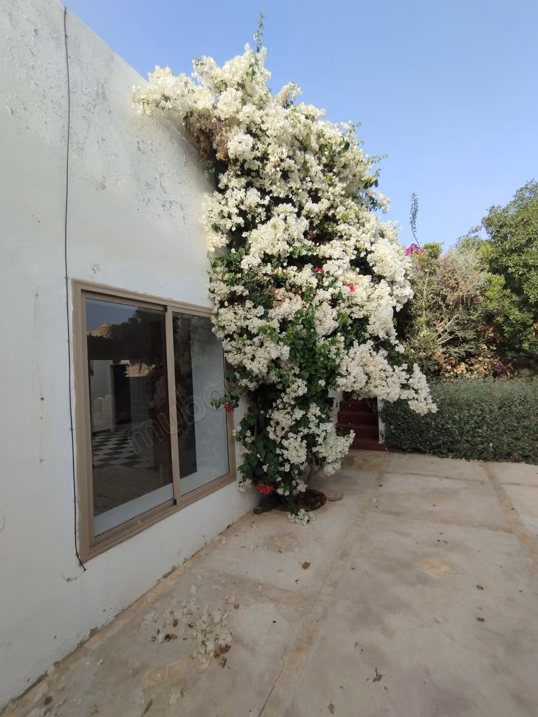 Excellente villa à louer à Ghazoua. 4 belles pièces. Meublée
