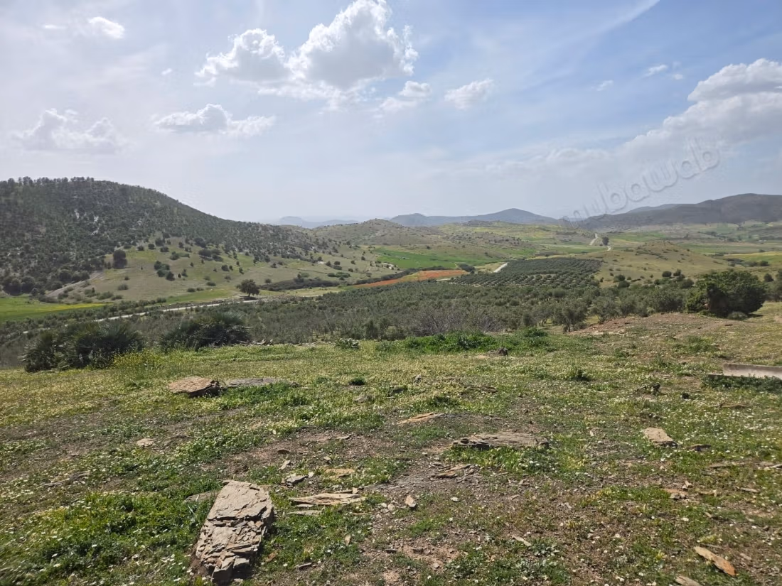 Agricultural Estate 85 Hectares Titled Ifrane Region