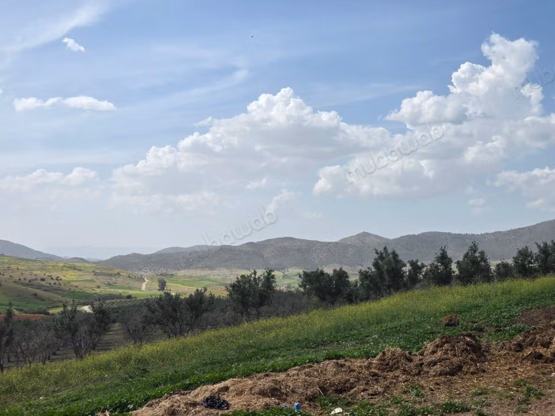 Agricultural Estate 85 Hectares Titled Ifrane Region