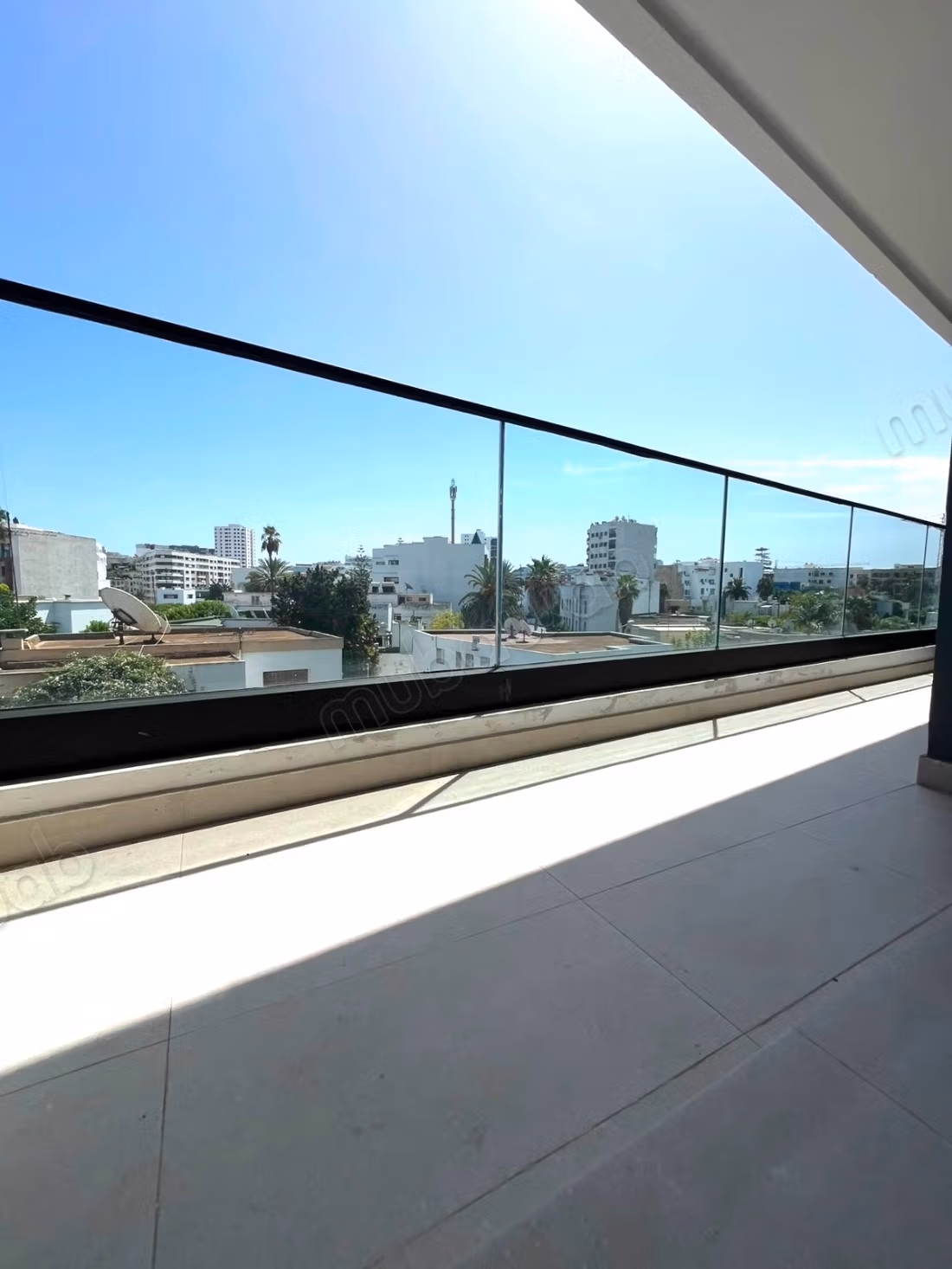 Appartement neuf Palmier
