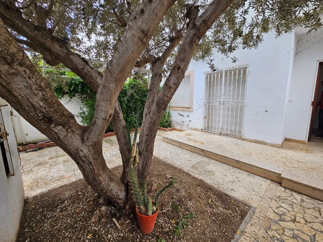 Villa à louer à la Marsa
