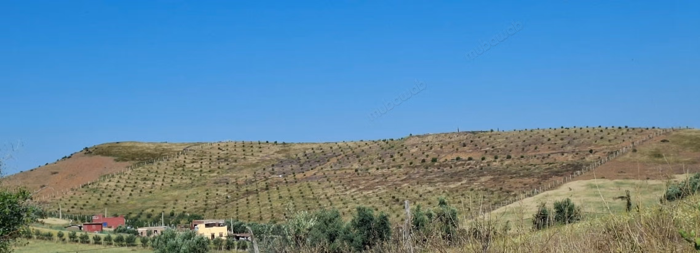 Fattoria agricola a Tiddas