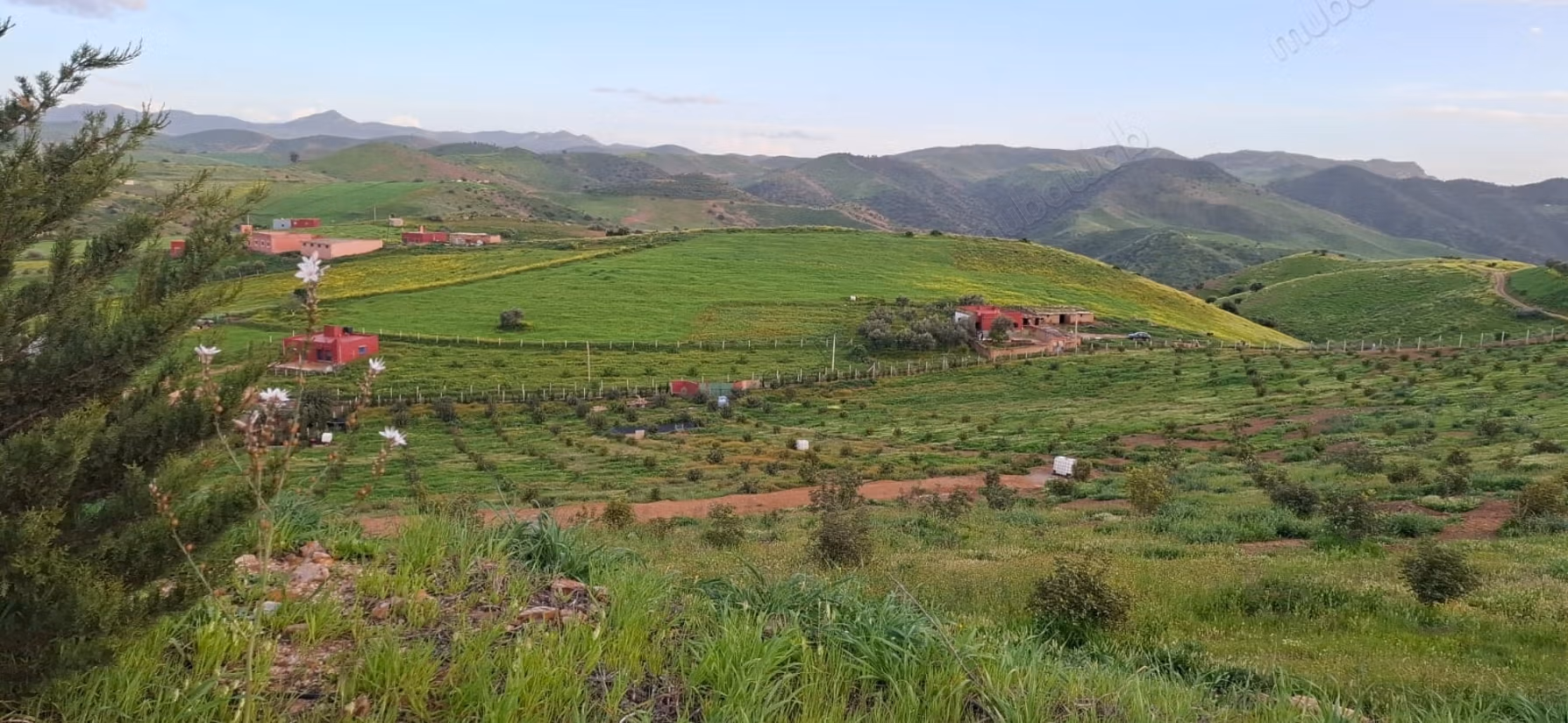 Fattoria agricola a Tiddas