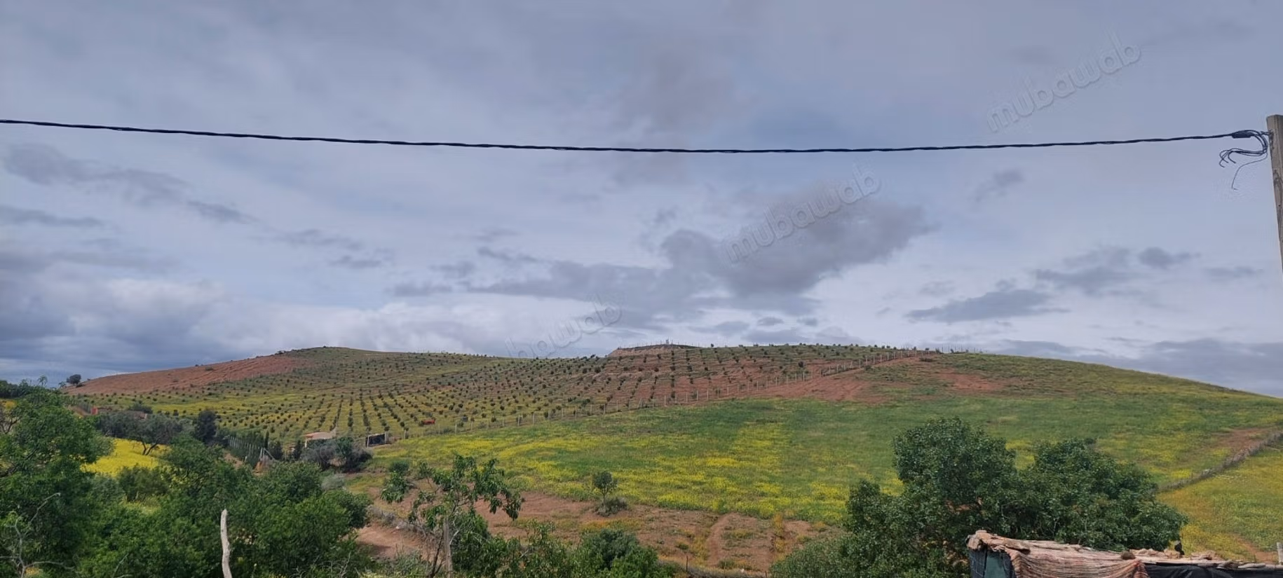 Fattoria agricola a Tiddas