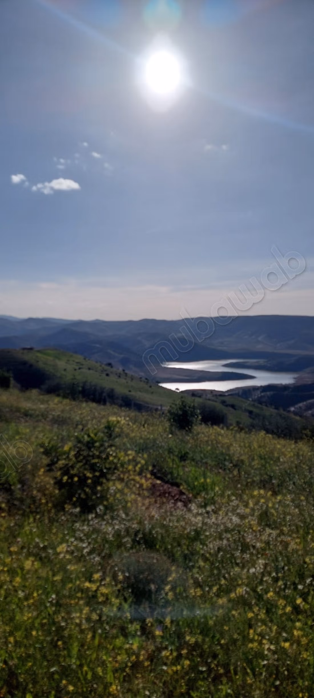 Fattoria agricola a Tiddas