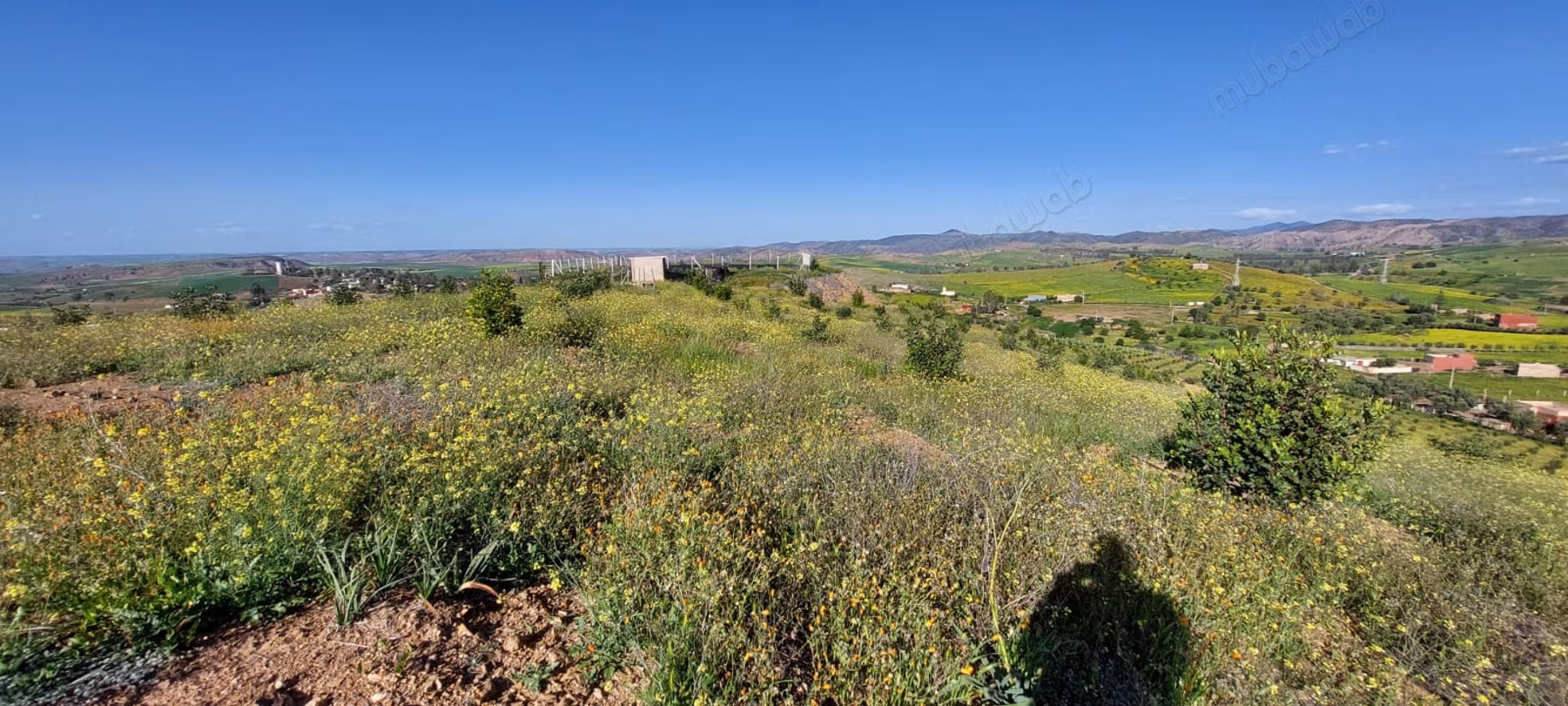 Fattoria agricola a Tiddas