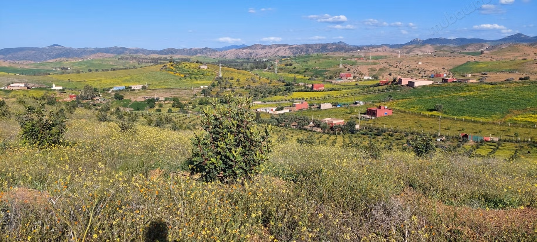 Fattoria agricola a Tiddas
