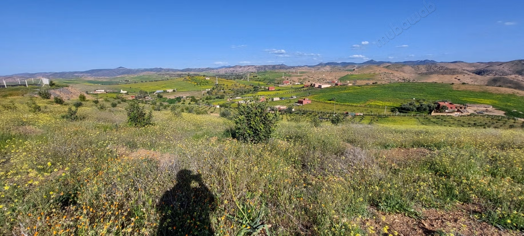 Fattoria agricola a Tiddas