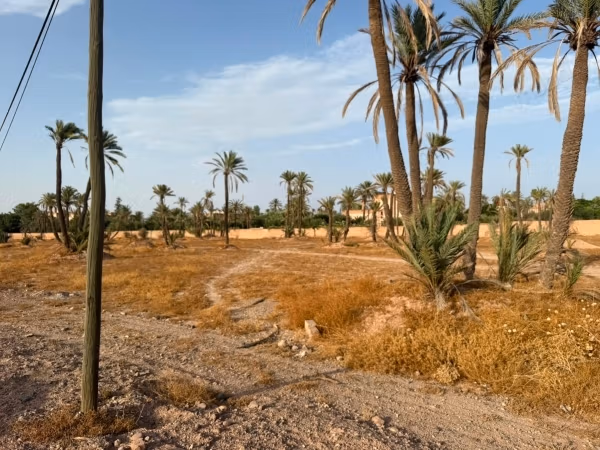 En venta - excepcional terreno de 1,5 hectáreas en la palmeraie de Marrakech