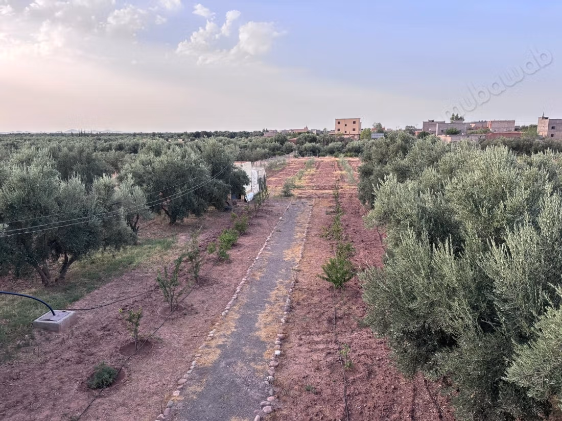Titled agricultural land of 2.7 hectares