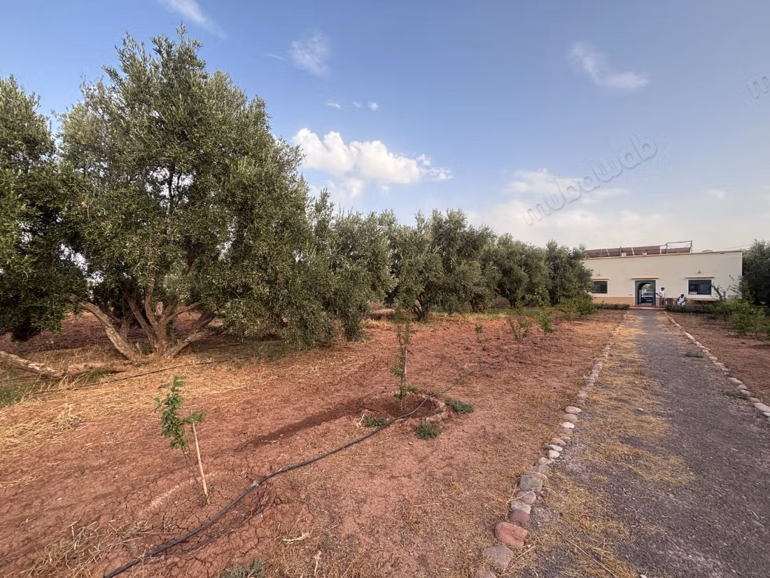 Titled agricultural land of 2.7 hectares