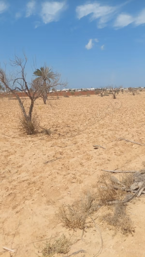 For sale Agricultural land in Mellita Djerba