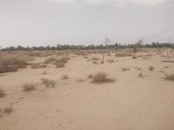 10 Hectares Land, SA2, Fes Road KM13