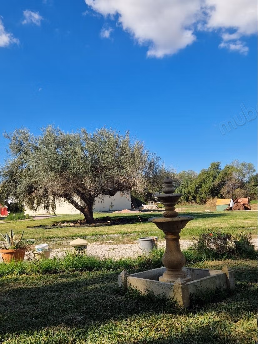 Excellent real estate and commercial opportunity