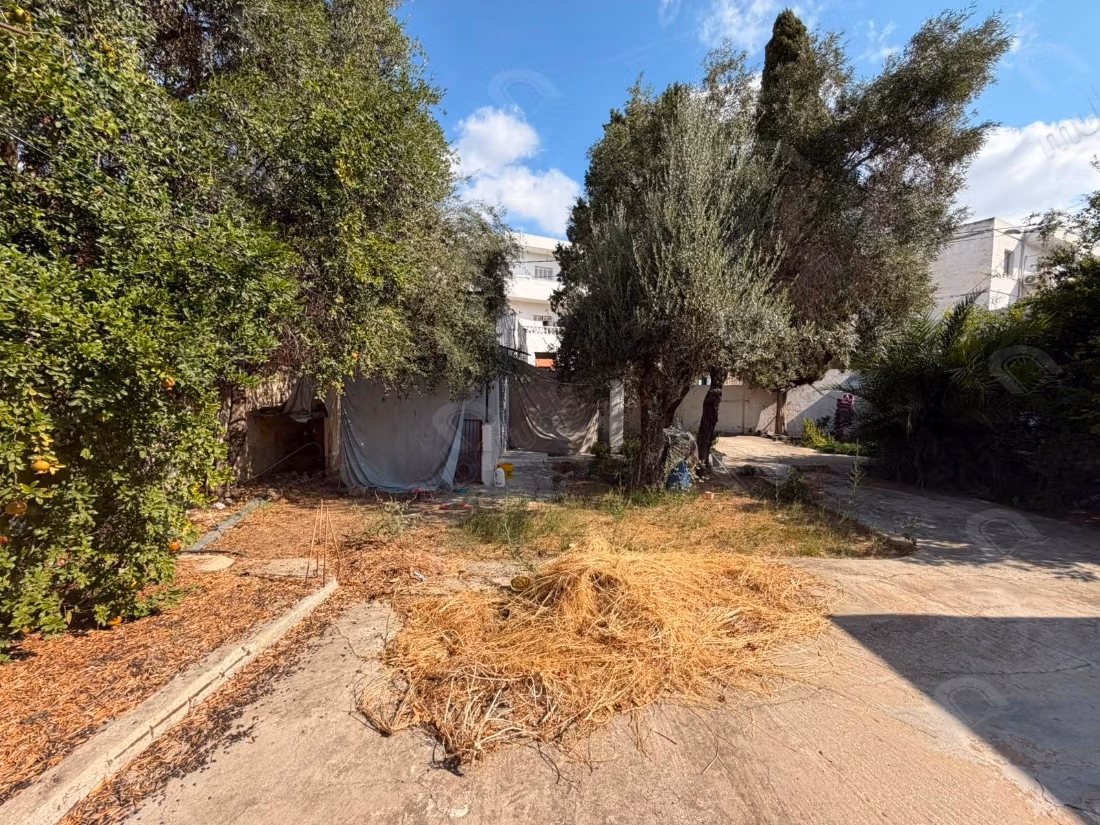 A vendre Grande Propriété au Bardo cité saada