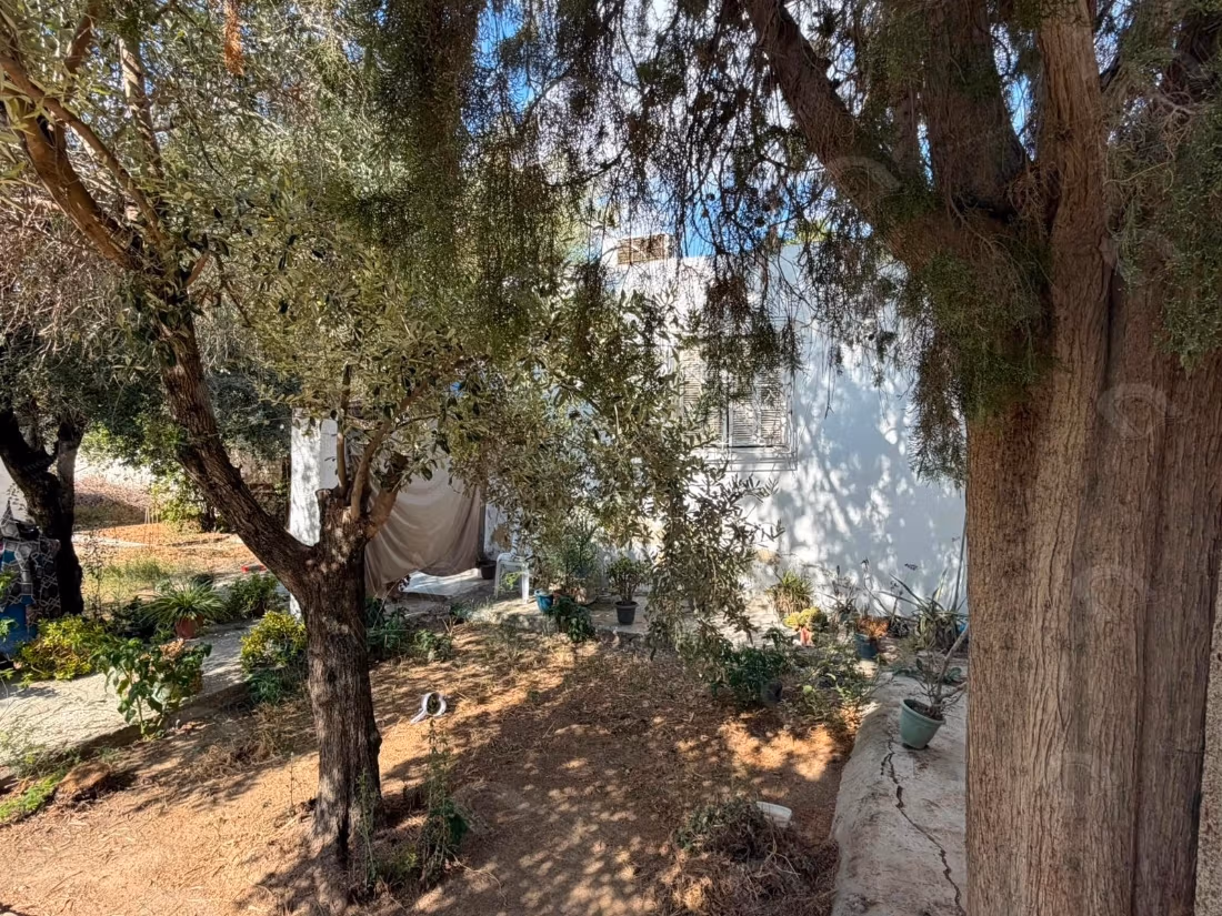 A vendre Grande Propriété au Bardo cité saada