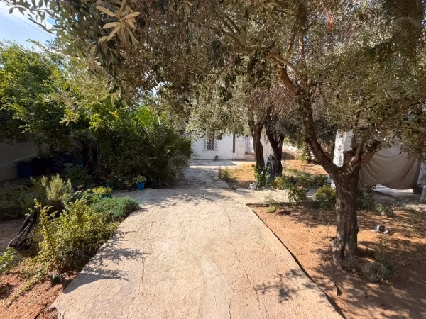 A vendre Grande Propriété au Bardo cité saada