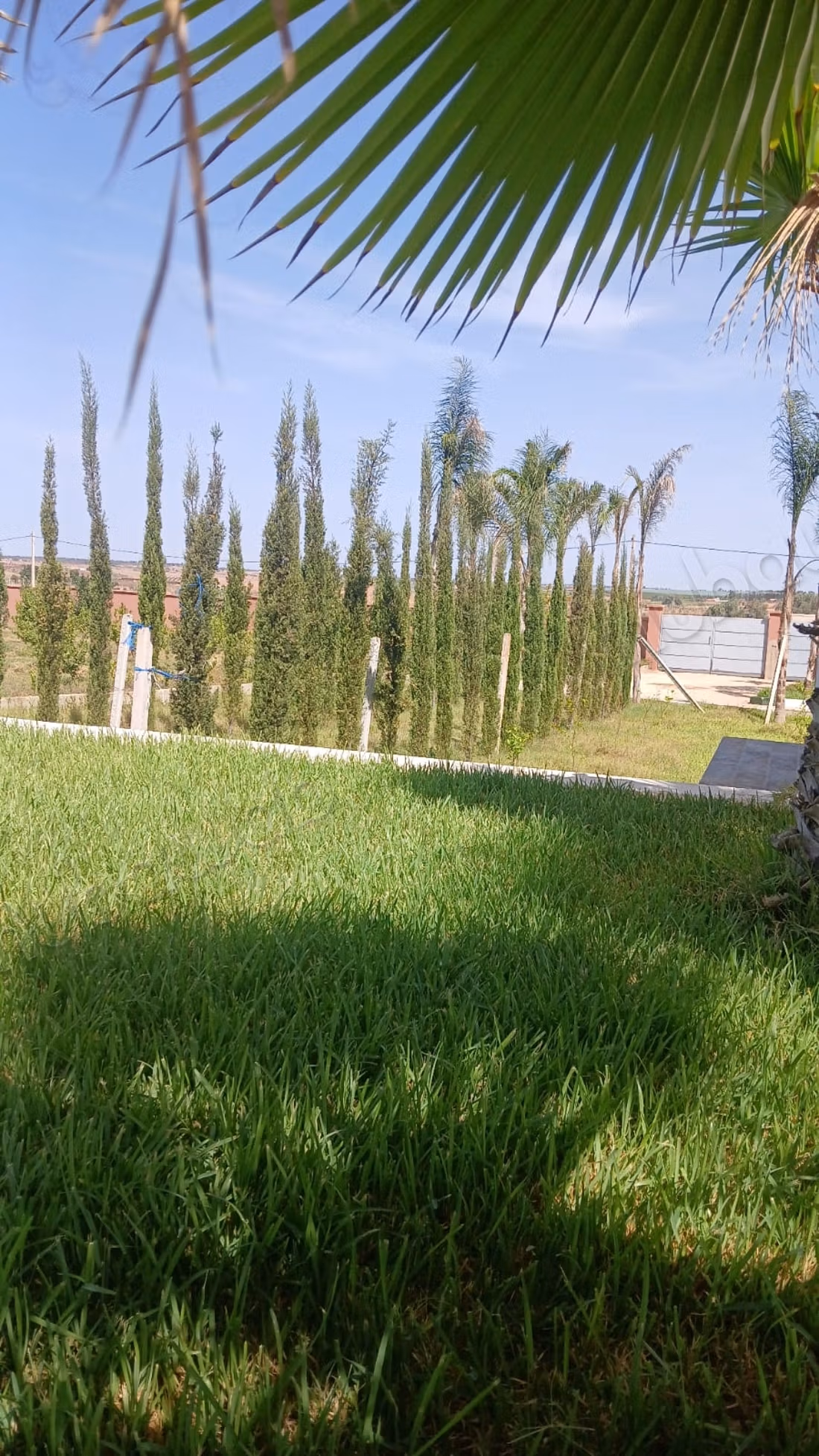 Uitstekende grond te koop in Sidi Allal el Bahraoui. Oppervlakte 10000 m²