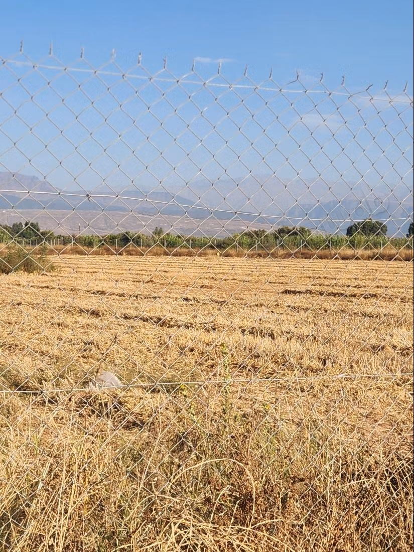 0,5 hectare grond te koop – sidi abdellah g