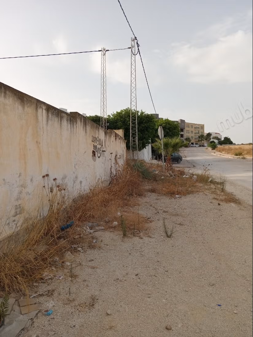 65650 Ariana