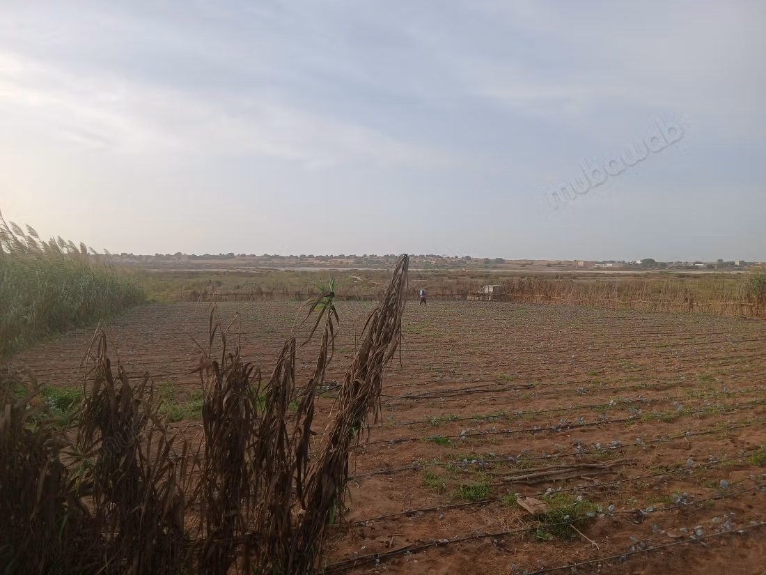 Beautiful land for sale in Olad Issa.
Total area 2000 m²