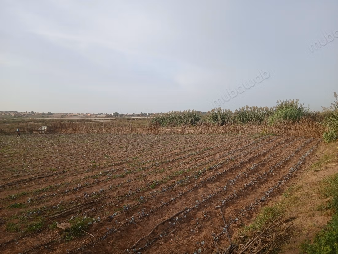 Beautiful land for sale in Olad Issa.
Total area 2000 m²