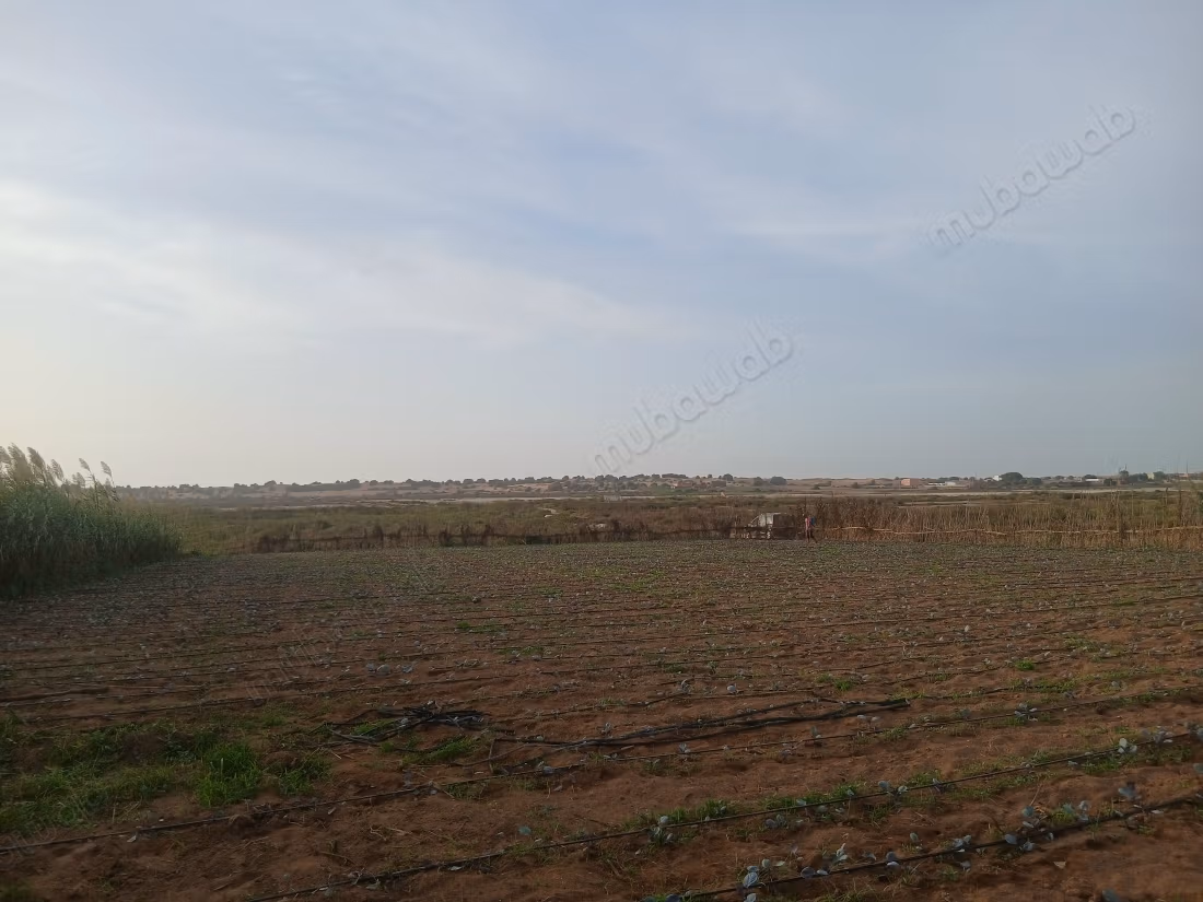 Beautiful land for sale in Olad Issa.
Total area 2000 m²