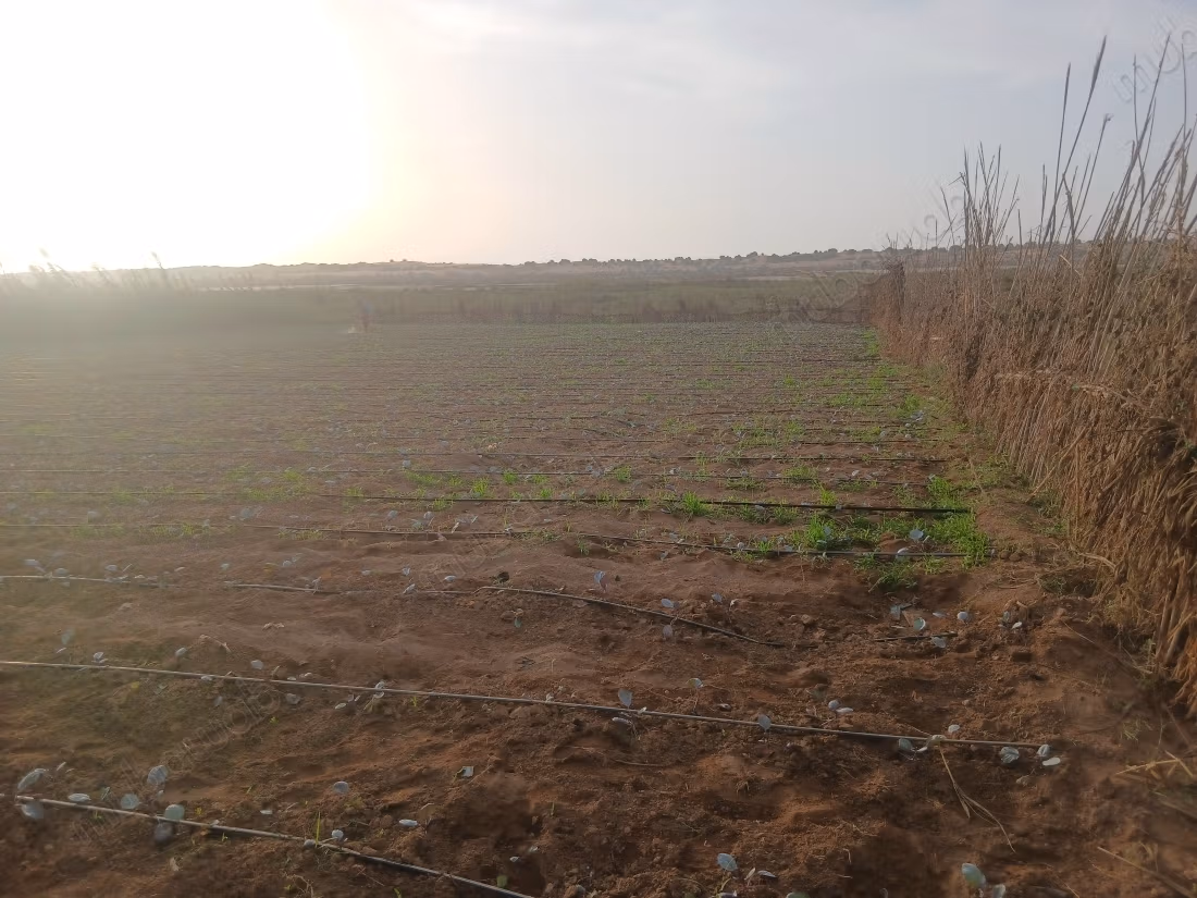 Beautiful land for sale in Olad Issa.
Total area 2000 m²