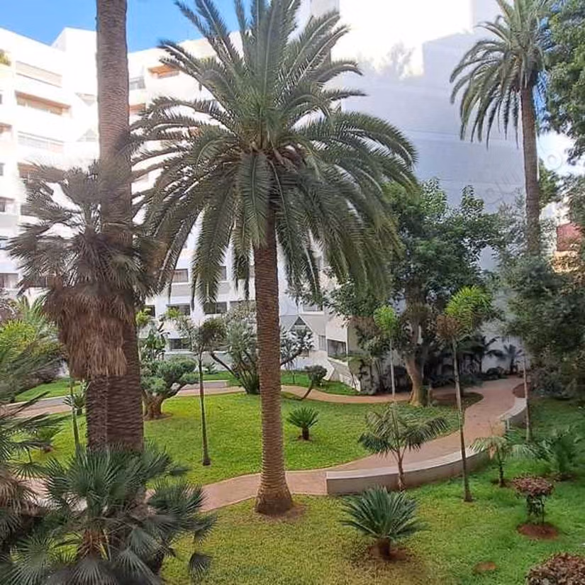 Appartement à Louer de 137.0 m² à Casablanca, Moulay Youssef