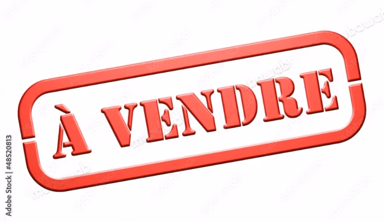 A vendre s2 au centre ville