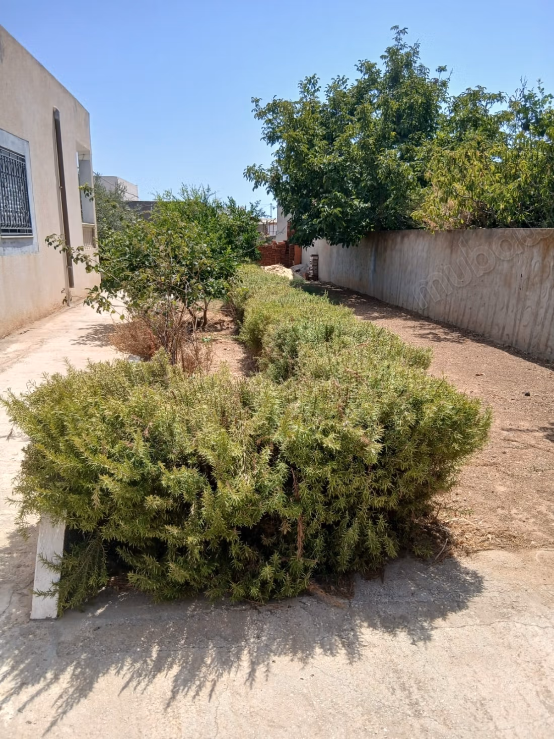 Luxury villa for sale. Total area 180 m². Well furnished