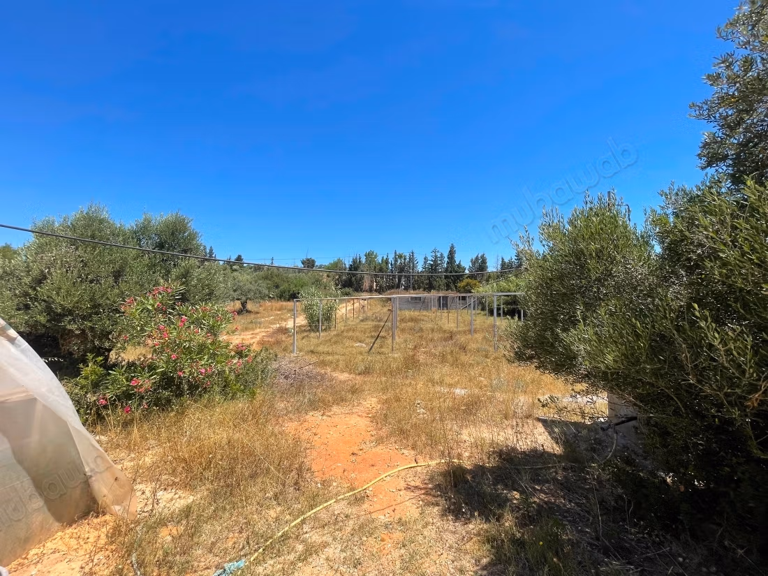 Terrain 3812m2 à vendre à somaa nature & calme