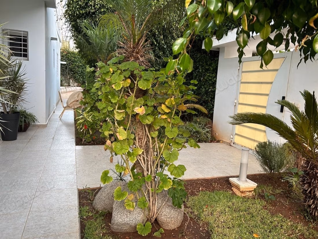 Vente villa de luxe à Riyad. 4 chambres. Belle terrasse et jardin